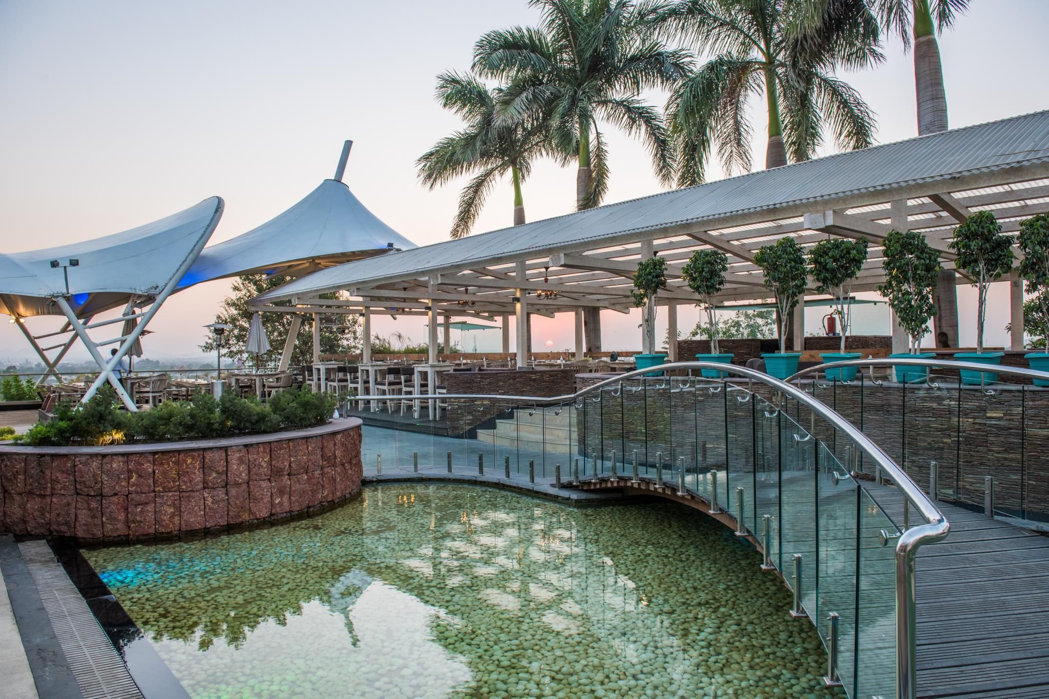 The Red Maple Mashal