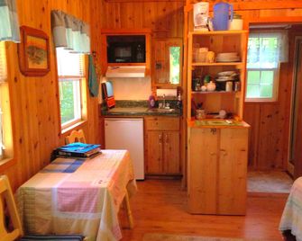 Cozy Cabin Rental on the Santa Fe River near High Springs, Florida - High Springs - Kitchen