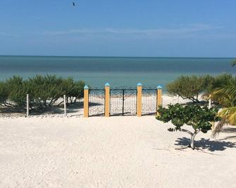 Beautiful, ocean front, 3-bedroom home with WiFi and AC in magical Celestún. - Celestún - Playa