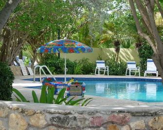 Palms at Pelican Cove - Christiansted - Pool