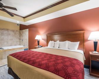 Econo Lodge Inn and Suites Little Rock SW - Little Rock - Camera da letto