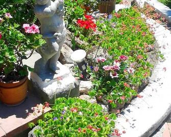 Holiday apartment with terrace - Barano d'Ischia - Outdoor view