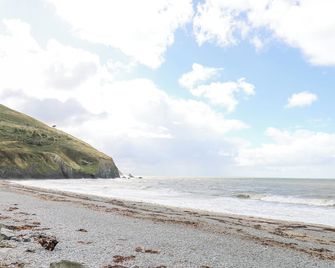 D12 Treetops - Aberystwyth - Beach