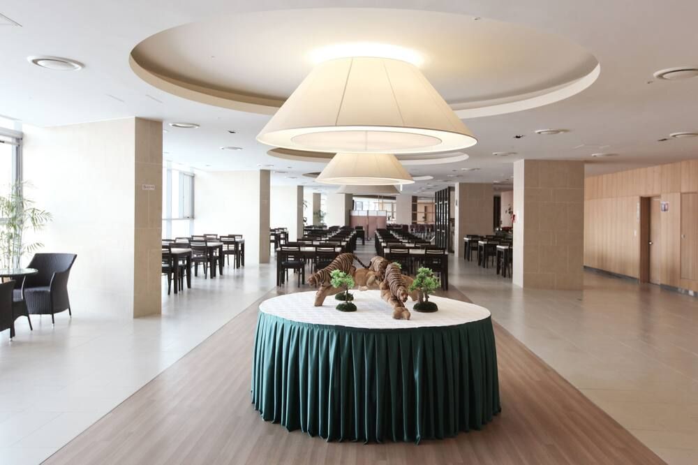 هاي كاسيل ريزورت