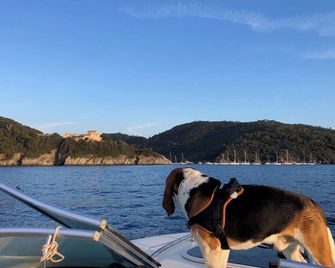 Anglade Hotel - Le Lavandou