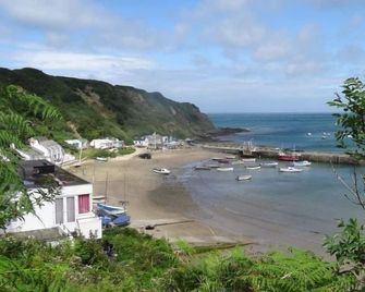 Nanhoron Arms Hotel - Pwllheli