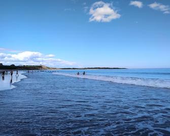 Modernized waterfront heritage homestead with entertainment barn - Lunenburg - Beach