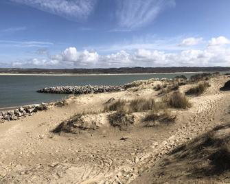Les Oyats - Camiers - Plage