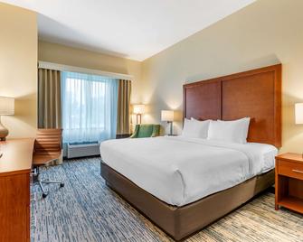 Comfort Inn & Suites West Des Moines - West Des Moines - Спальня