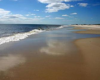 3rd house from the ocean, great ocean breeze and views, quietest block in OBP - Fire Island Pines - Beach