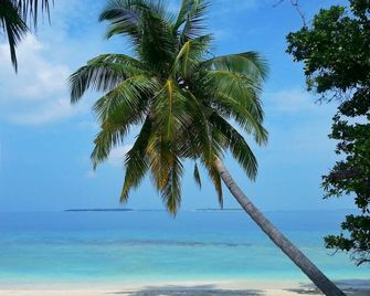 Hanifaru Transit Inn - Dharavandhoo - Beach