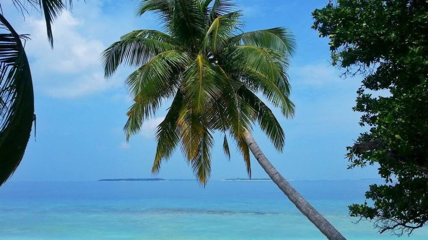 Hanifaru Transit Inn