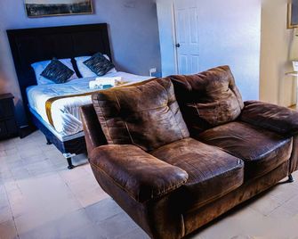 Hotel Brunette - Santa Ana - Sala de estar