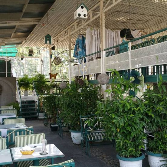 Minh Chau Hotel image 1