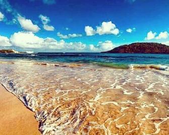Ellen Bay Inn - Seatons - Playa