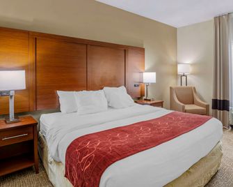 Comfort Suites At Virginia Center Commons - Glen Allen - Soveværelse