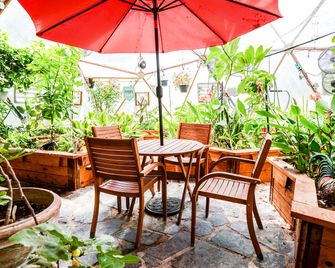 The Riverhouse Pet Friendly Zen River Retreat - Bastrop - Binnenhof