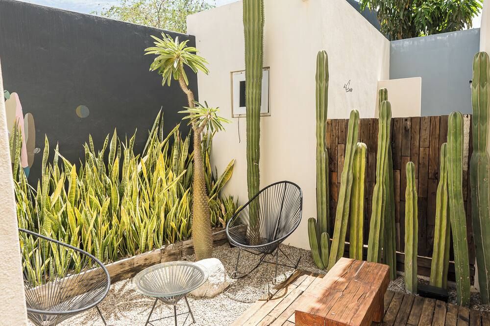 Grand Villa with Private Patio & Parking by Tasman - סן חוסה דל קאבו - פטיו