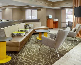 SpringHill Suites by Marriott Raleigh-Durham Airport/Research Triangle Park - דורהאם - טרקלין