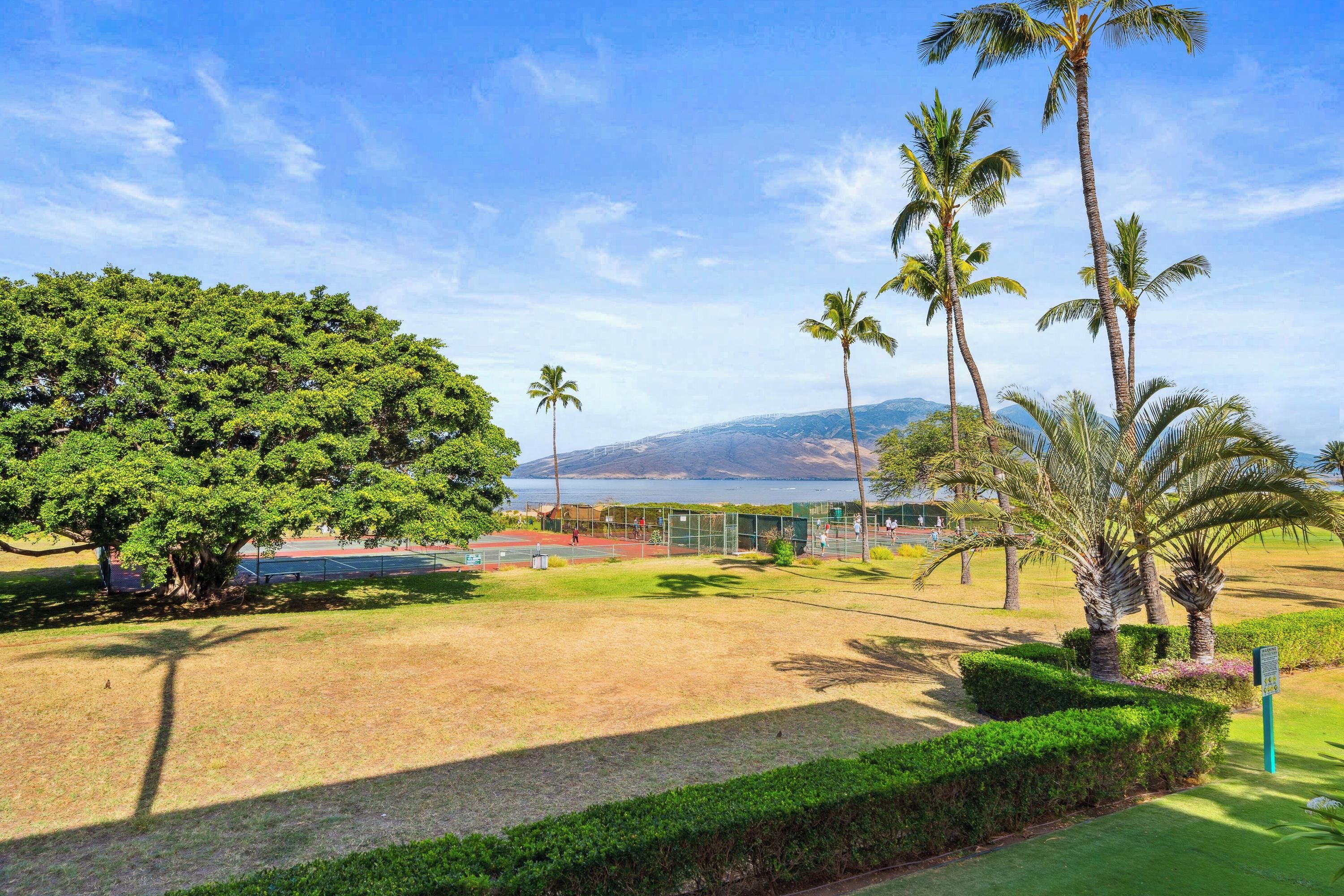 Maui Schooner Resort - קיהי