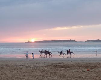 2 rooms nice and comfortable at the gates of Medina with a large terrace - Essaouira - Strand