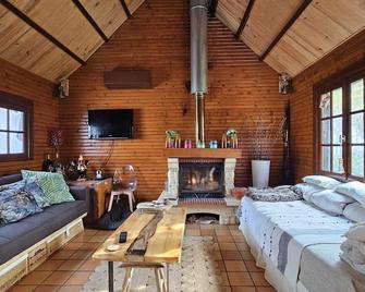 Chalet de Béon - Le Bignon-Mirabeau - Sala de estar