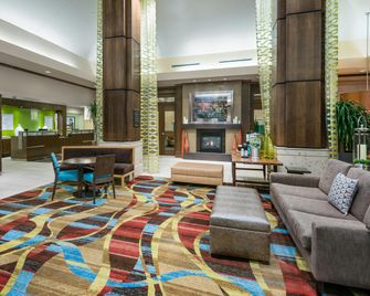 Hilton Garden Inn San Antonio/Rim Pass Drive - San Antonio - Lobby