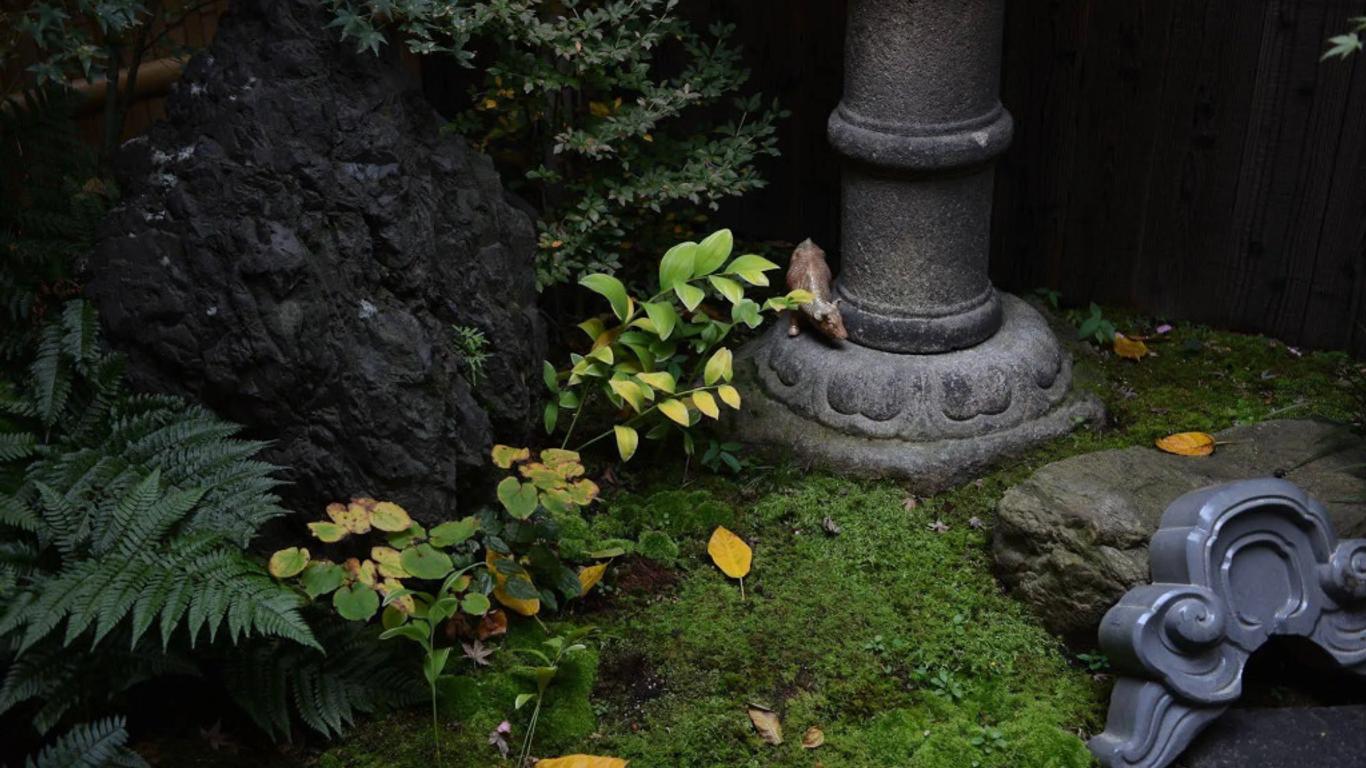 Guest House Bokuyado
