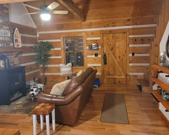 Remote, Modern, Cozy Cabin on 12 acres; Only 2.5 Miles from Traveler's Rest! - Greenville - Living room