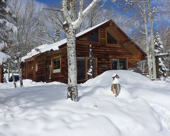 Authentic lakefront log cabin with mountian views. Ice off! Come fishing! - Pagosa Springs - Building