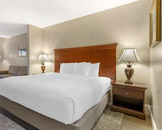 Best Western Plus Vineyard Inn & Suites - Penn Yan - Slaapkamer