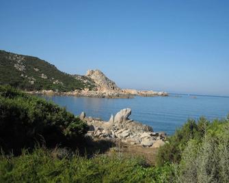 Res. Oliveraie \'Ghjulia, T2 / 1\' In The Shade Of The Olive Trees, A Few Steps From The Sea - Belvédère-Campomoro