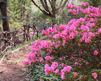 The Crows Nest - Apartment in Asheville near the Smoky Mountains! - Canton - Vista del exterior