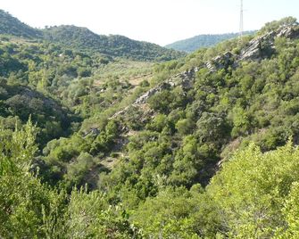 Hotel Hospedería Las Buitreras - Cortes de la Frontera - Vista esterna