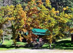 An affordable but beautiful cabin - Keystone - Outdoor view