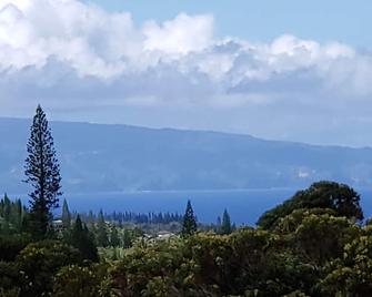 Cute, Private & Tranquil Hideaway, Ocean Views. Near Hana Hwy. A/C. - Haiku-Pauwela - Outdoor view