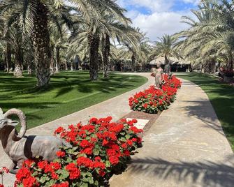 Hacienda Nestled in Private Date Grove close to Palm Springs - Thousand Palms - Outdoors view