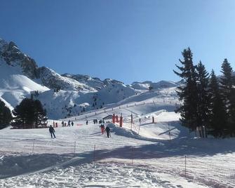 Divisible Savoyard studio in the mountains, south-facing, overlooking the slopes - La Plagne-Tarentaise