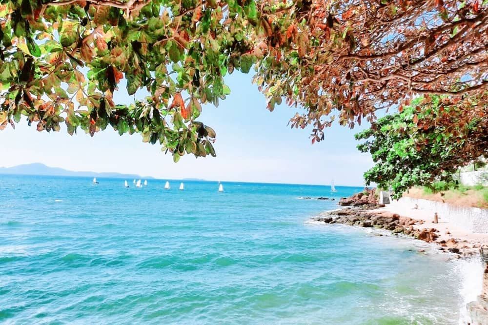 منتجع بيردز آند بيز