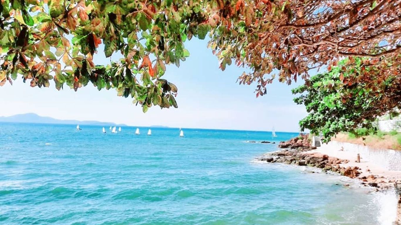 منتجع بيردز آند بيز