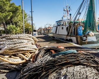 Hotel Derby - Bellaria-Igea Marina