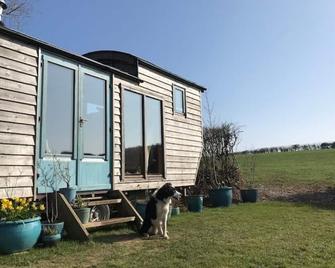 Secluded Shepherds Hut, with a view and hot tub - Ashburton - Building