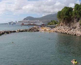 بيرد روك بيتش هوتل - باسيترّ - شاطئ