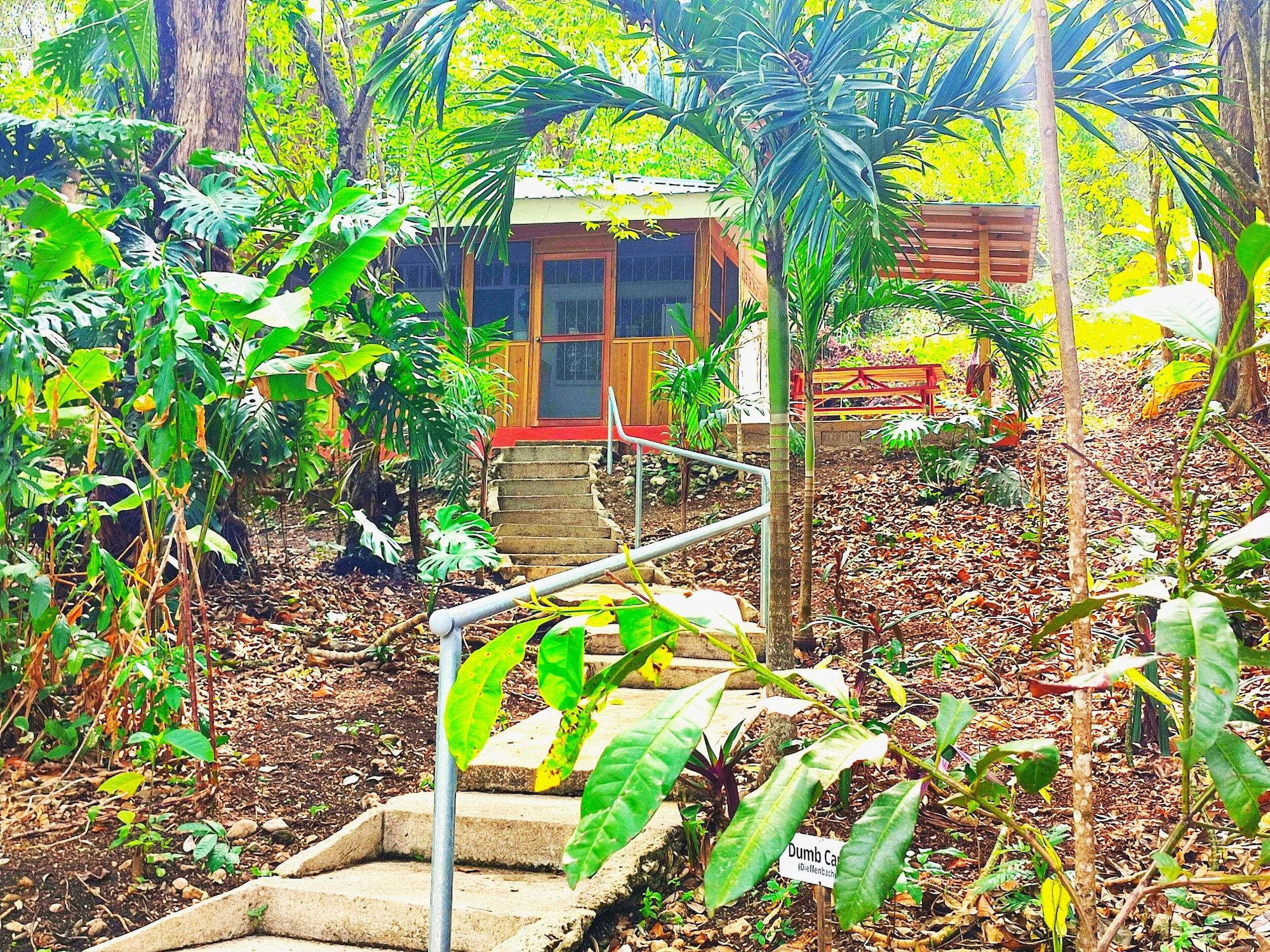 Maya Mountain Lodge - San Ignacio - Vista externa