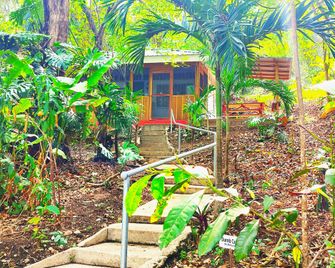 Maya Mountain Lodge - San Ignacio - Vista externa
