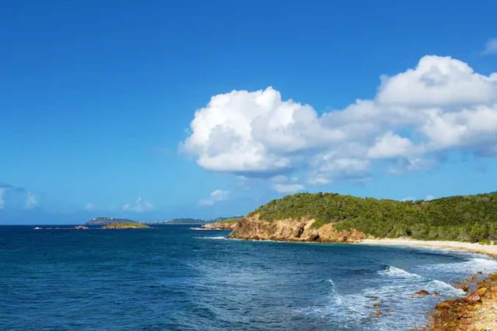 Generator! Ocean-Front Siren's Point - Steps to Pool! - سانت ثوماس (فيرجين أيلاندس, ا.س) - شاطئ