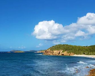 Generator! Ocean-Front Siren's Point - Next To Pool! - Saint Thomas Island - Beach
