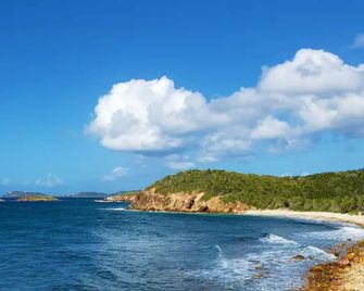 Generator! Ocean-Front Siren's Point - Just Steps to Pool! - Saint Thomas Island - Beach