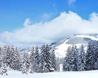 Hôtel La Grange d'Arly - Megève - Buiten zicht