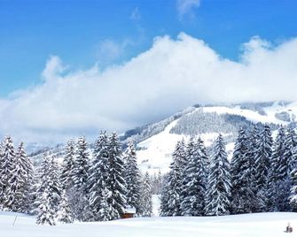 Hôtel La Grange d'Arly - Megève - Venkovní prostory